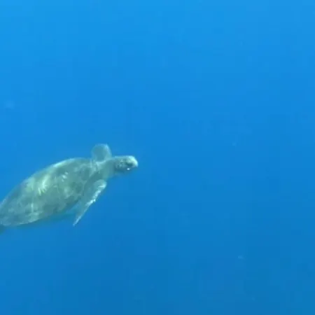 B&B Terrazas Del Sur 2*