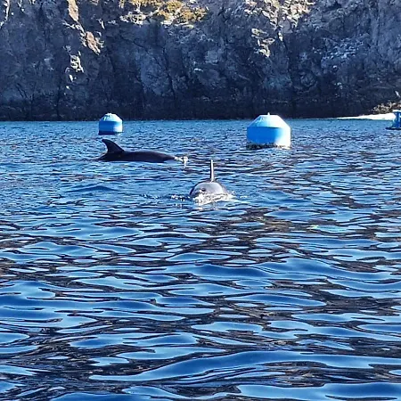 Terrazas Del Sur B&B