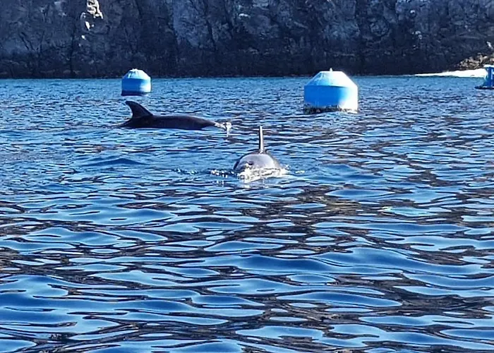 Terrazas Del Sur Bed & Breakfast