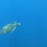 Bed & Breakfast Terrazas Del Sur 2*